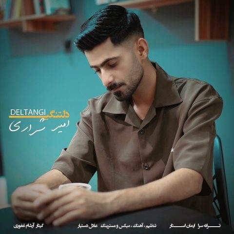 دانلود آهنگ امیر شراری به نام دلتنگی