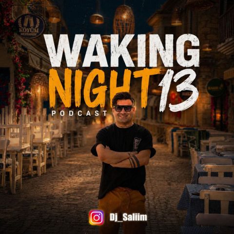 دانلود آهنگ دیجی سلیم به نام Waking Night 13