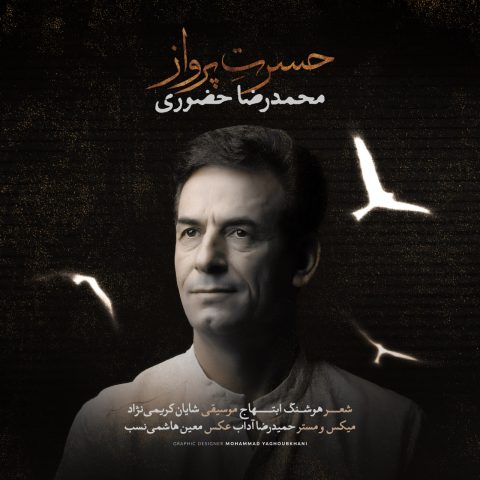 دانلود آهنگ محمدرضا حضورى به نام حسرت پرواز
