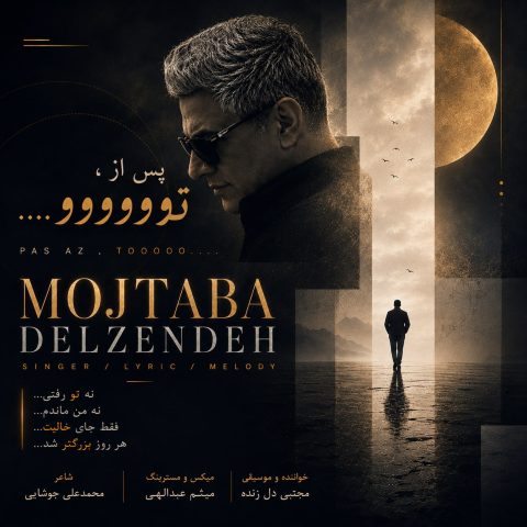 دانلود آهنگ مجتبی دل زنده به نام پس از تو