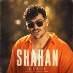 دانلود آهنگ شاهان 2 به نام دو تایی