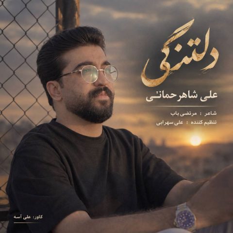 دانلود آهنگ علی شاهرحمانی به نام دلتنگی