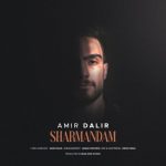 دانلود آهنگ امیر دلیر به نام شرمندم دانلود آهنگ امیر دلیر به نام شرمندم