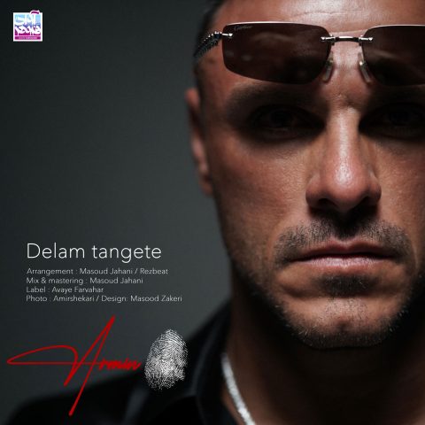 دانلود آهنگ آرمین زارعی به نام دلم تنگته