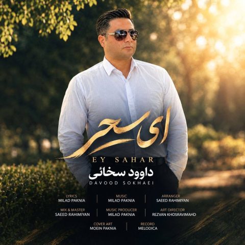 دانلود آهنگ داوود سخائی به نام ای سحر