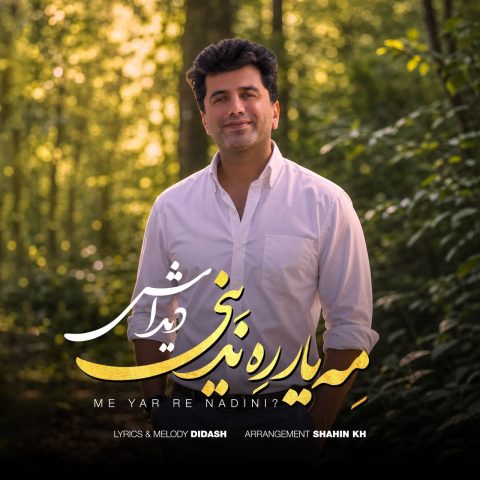 دانلود آهنگ دیداش به نام مه یار ره ندینی