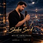 دانلود آهنگ میلاد امیر انصاری به نام شب سرد
